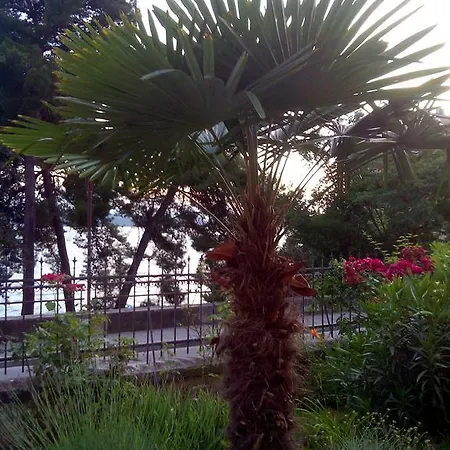 Sirena Apartman Zadar
