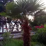 Sirena Lägenhet Zadar