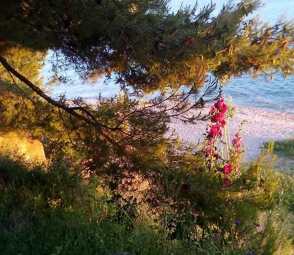 Sirena Zadar