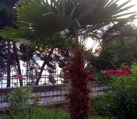 Sirena Apartman Zára